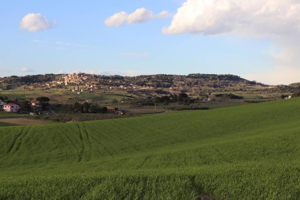 Antiche Fonti Appartement Bibbona Buitenkant foto