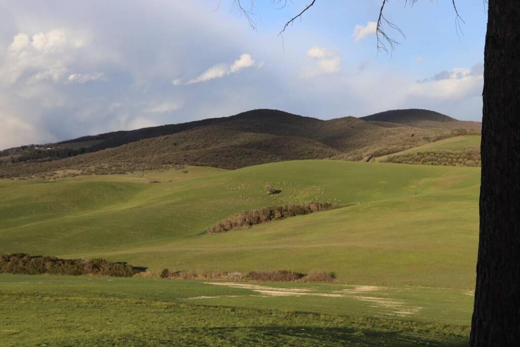 Antiche Fonti Appartement Bibbona Buitenkant foto